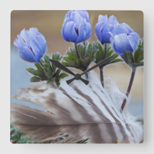 Reloj Cuadrado Seward Peninsula, Alaska, Arctic Wildflowers