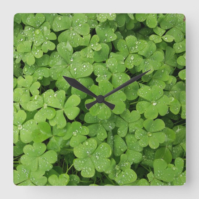 Reloj Cuadrado Shamrock fresco verde, afortunados St Patricks (Anverso)