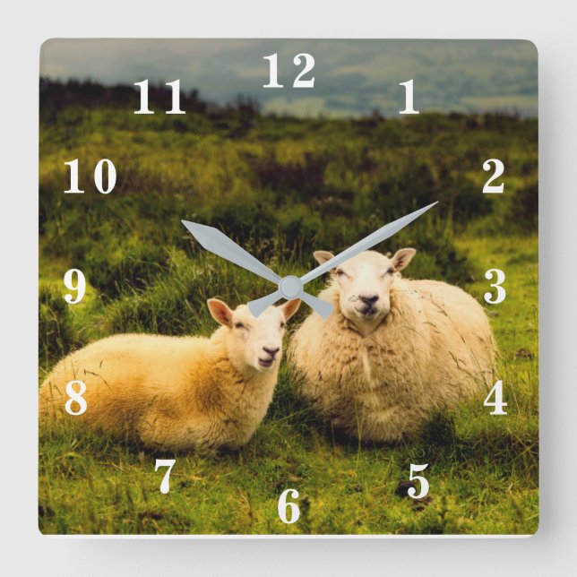 Reloj Cuadrado Sheep (Anverso)