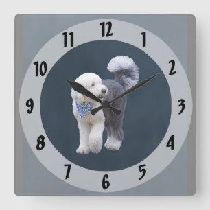 Reloj Cuadrado Sheepadoodle con bufanda azul a cuadros