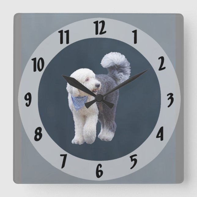Reloj Cuadrado Sheepadoodle con bufanda azul a cuadros (Anverso)