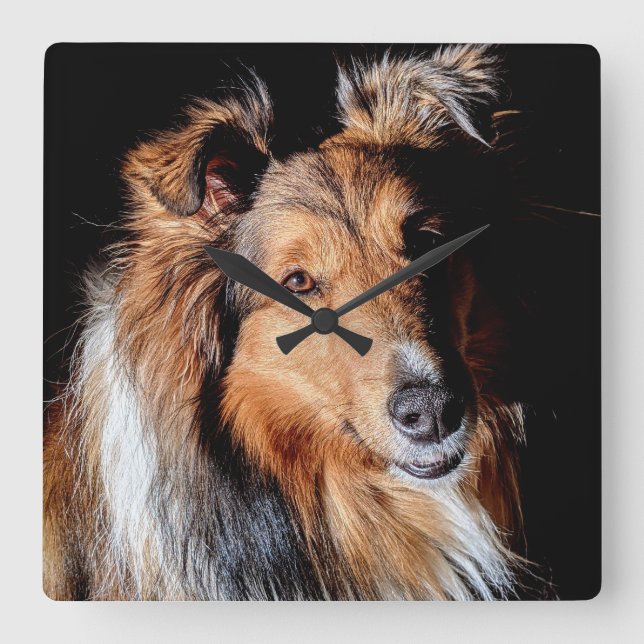Reloj Cuadrado Sheltie (Anverso)