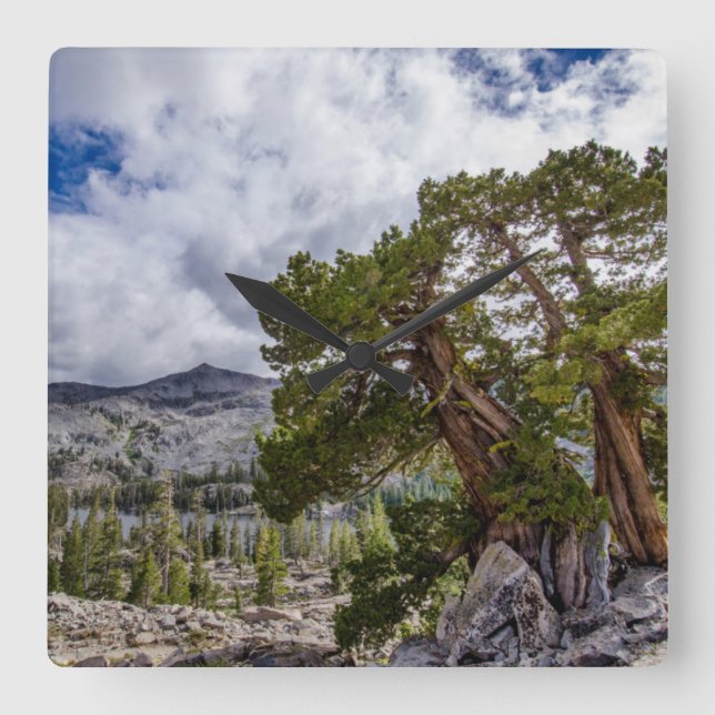 Reloj Cuadrado Sierra Juniper y Árboles Eververdes (Anverso)