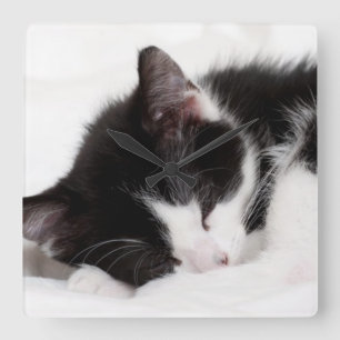 Reloj Cuadrado Sleeping Kitten