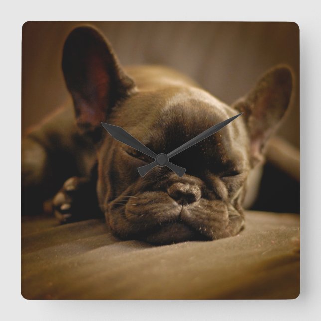 Reloj Cuadrado Sleepy Bulldog francés (Anverso)