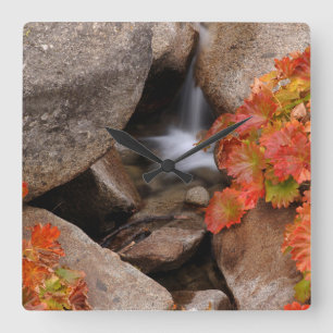 Reloj Cuadrado Small creek in autumn, California