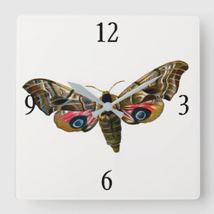 Reloj Cuadrado Smerinthus ocellata - Ojos Hawk-Moth - Imagen de c