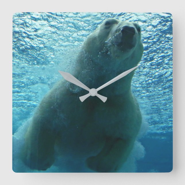 RELOJ CUADRADO SMILING POLAR BEAR (Anverso)
