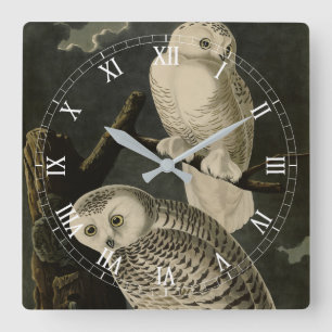 Reloj Cuadrado Snowy Owl, John James Audubon's Birds of America