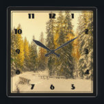 Reloj Cuadrado Snowy Winter Path with Pine Trees<br><div class="desc">A clock with a beautiful nature photograph. An isolated winter path with tall snow covered pine trees. 
A golden twilight hue creates a magical feel to this photo.</div>