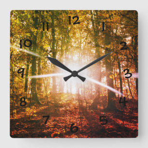 Reloj Cuadrado Sol en el bosque de otoño