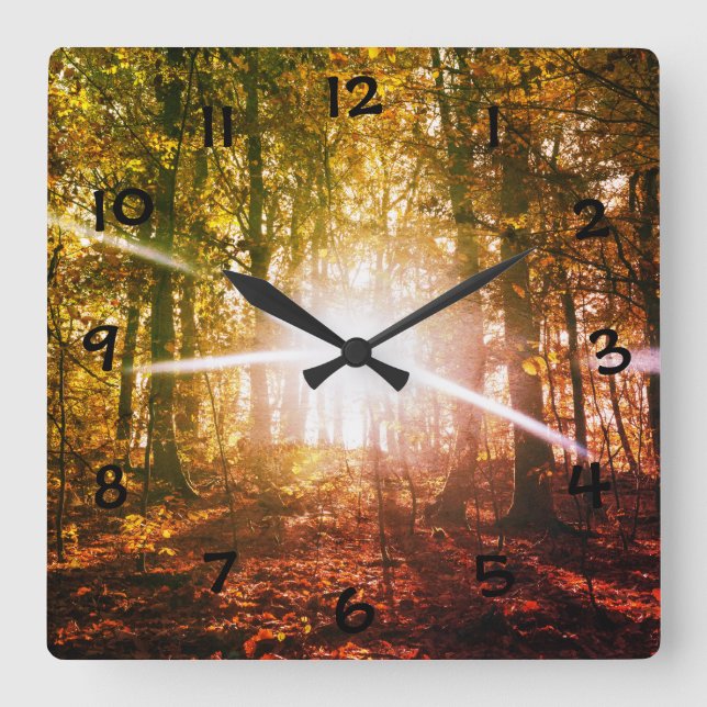 Reloj Cuadrado Sol en el bosque de otoño (Anverso)