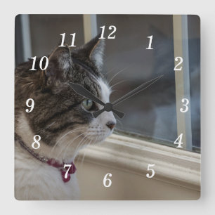 Reloj Cuadrado Soñando Con Un Clima Más Caluroso Para Salir Del R