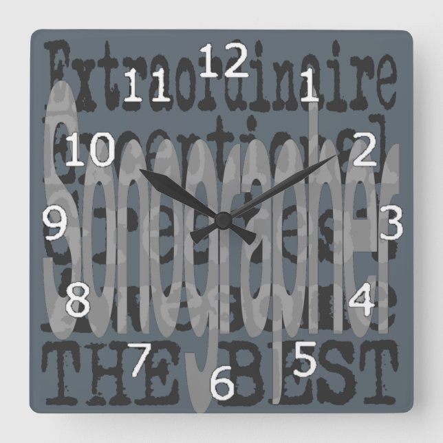 Reloj Cuadrado Sonographer Extraordinaire (Anverso)