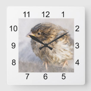 Reloj Cuadrado Sparrow - Fracaso epidémico en las predicciones me