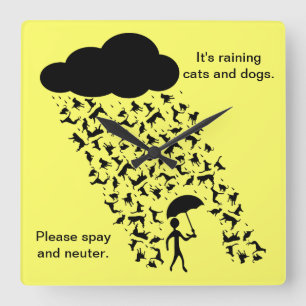 Reloj Cuadrado "Spay and Neuter" Wall Clock