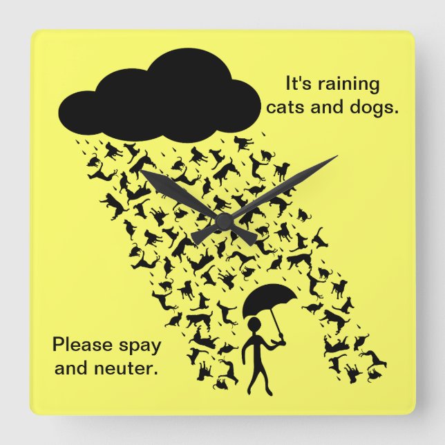 Reloj Cuadrado "Spay and Neuter" Wall Clock (Anverso)