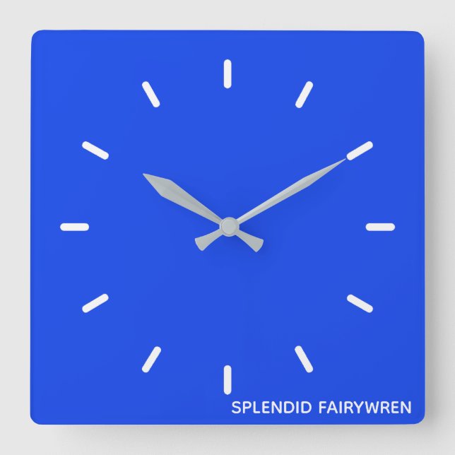 Reloj Cuadrado Splendid Fairywren Blue Color Name (Anverso)