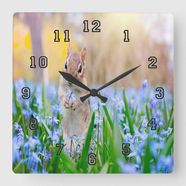 Reloj Cuadrado Springtime Chipmunk (Anverso)