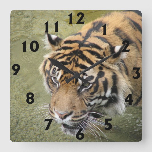 Reloj Cuadrado Square Tiger Clock (Anverso)