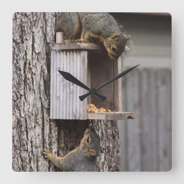 Reloj Cuadrado Squirrel Clock (Anverso)