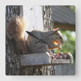 Reloj Cuadrado Squirrel Clock