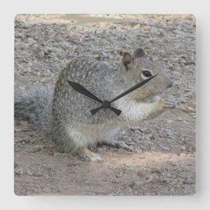 Reloj Cuadrado Squirrel Lover Foto Adorable Gray Forest Animal