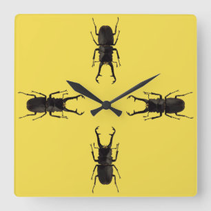 Reloj Cuadrado Stag Beetle
