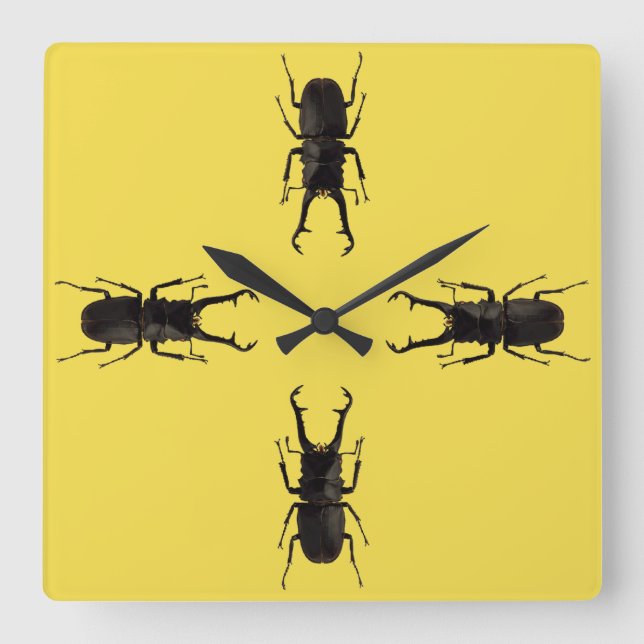 Reloj Cuadrado Stag Beetle (Anverso)