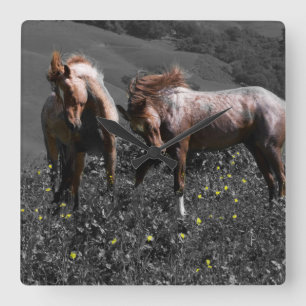 Reloj Cuadrado Stallion Spar