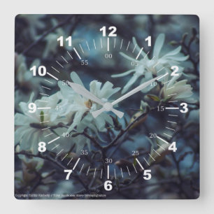 Reloj Cuadrado Starry Magnolia 3172