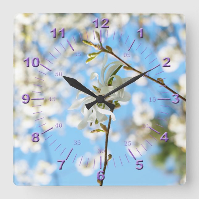 Reloj Cuadrado Starry Magnolia 6490 (Anverso)