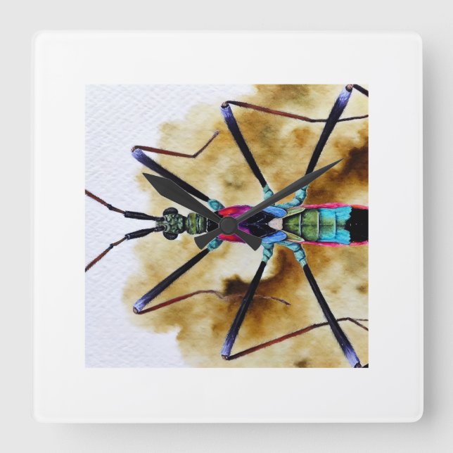Reloj Cuadrado Stilt bug 200924IREF213 - Watercolor (Anverso)