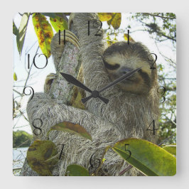 Reloj Cuadrado Subir un árbol