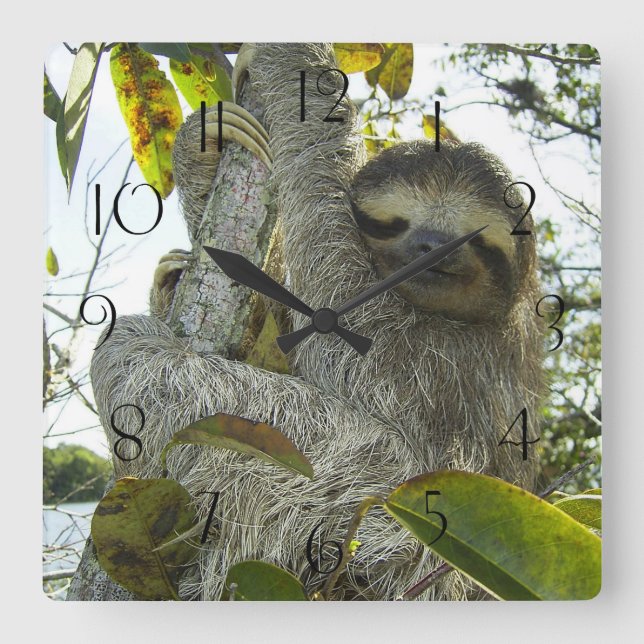 Reloj Cuadrado Subir un árbol (Anverso)