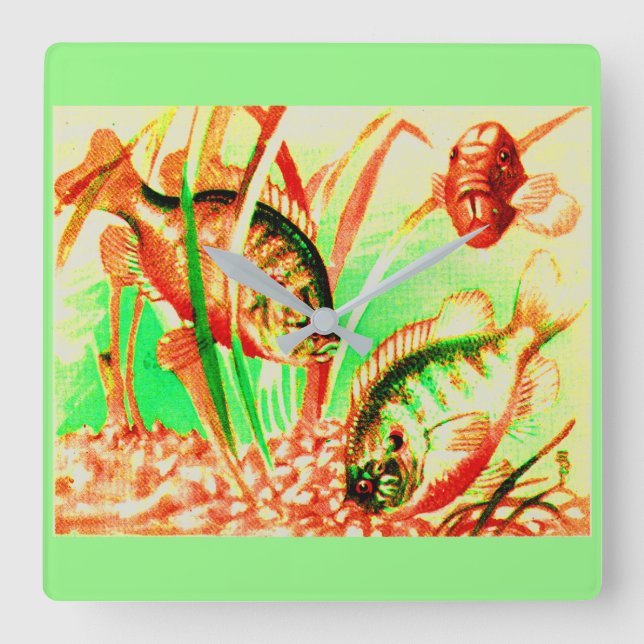 Reloj Cuadrado Sunfish (Anverso)