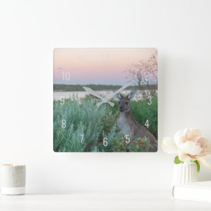 Reloj Cuadrado Sunset canguro en el lago Australia