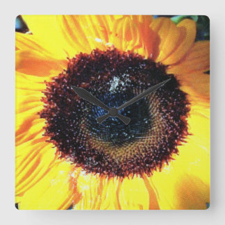 RELOJ CUADRADO SUNTIME