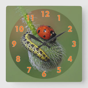 Reloj Cuadrado Super Cute Lady Bug & Caterpillar