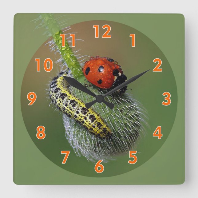 Reloj Cuadrado Super Cute Lady Bug & Caterpillar (Anverso)