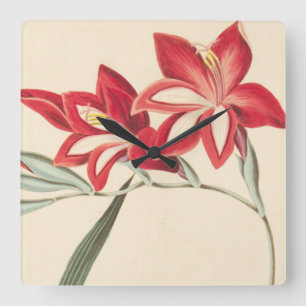 Reloj Cuadrado Superb Corn-Flag