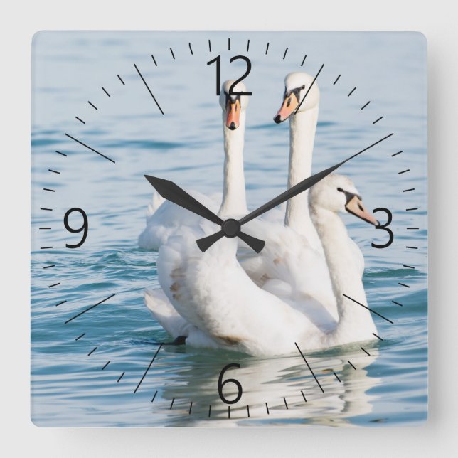 Reloj Cuadrado Swans (Anverso)