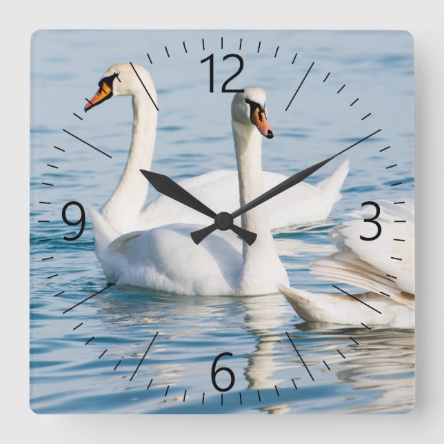 Reloj Cuadrado Swans (Anverso)