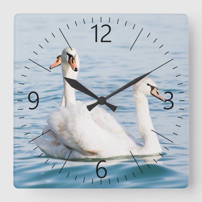 Reloj Cuadrado Swans (Anverso)