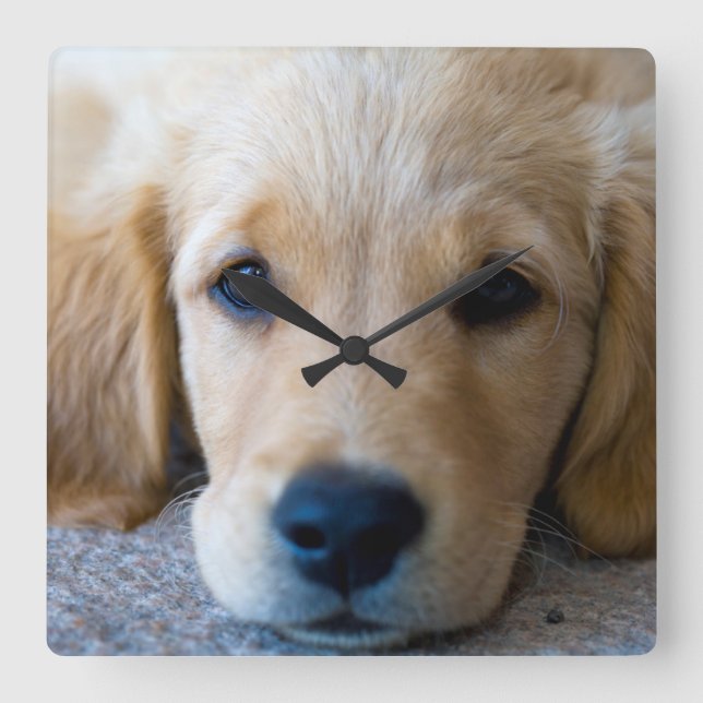 Reloj Cuadrado Sweet, Sweet Puppy (Anverso)