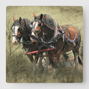 Reloj Cuadrado Tarjeta postal Clydesdale vieja y meteorada
