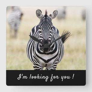 Reloj Cuadrado Te estoy buscando foto de Zebra con texto