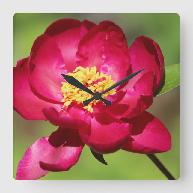 Reloj Cuadrado Tendencia rosa caliente (Anverso)