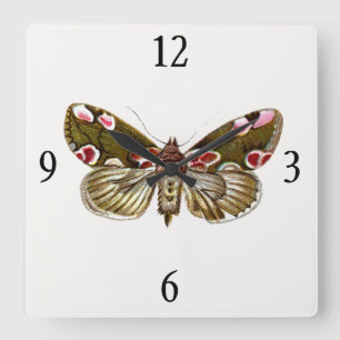 Reloj Cuadrado Thyatira batis - The Peach Blossom Moth