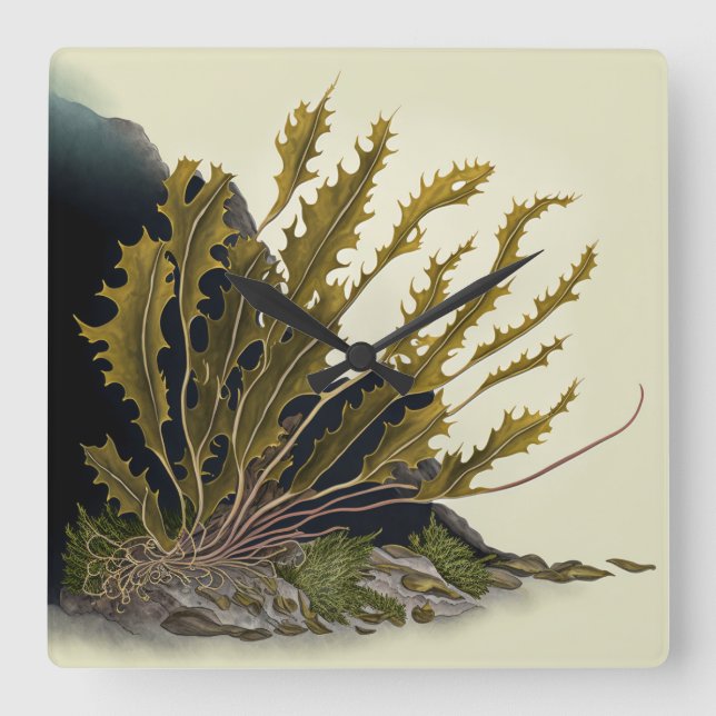 Reloj Cuadrado Tidal Fronds (Anverso)